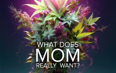 What does Mom REALLY want? Some giggles and a good night’s sleep. #cannabisforyourMama #seedyourhead #seedblog #seedboston #mothersdaygift
