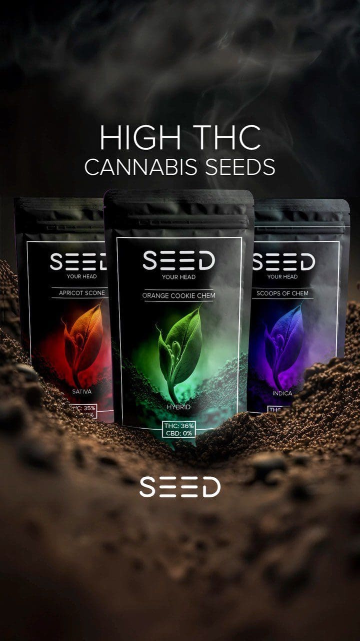 Take your cannabis journey to new heights with our exceptional selection of high THC cannabis seeds.