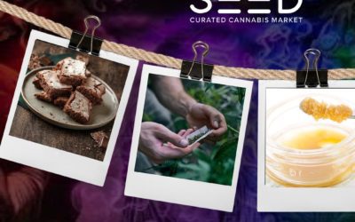 Which way do you prefer to enjoy your medical cannabis experience? Share your favorites in the comments below!  #CannabisChoices #WellnessJourney #seedyourhead #seedblog #seedboston